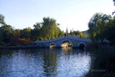 Мост, ботанический сад