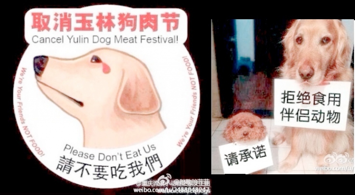 Стикер за отмену Юлинского фестиваля собачьего мяса