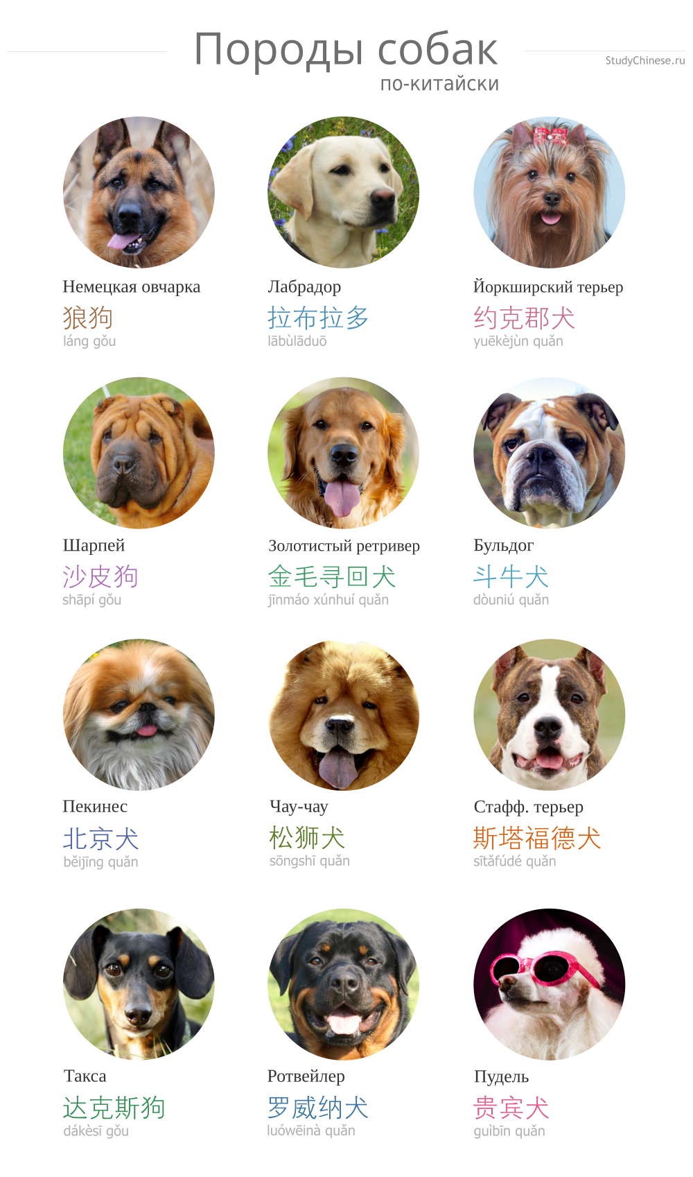 Породы собак по-китайски