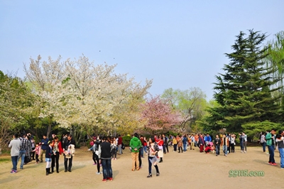 Парк Юйюаньтань