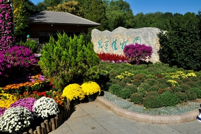 Цветы, ботанический сад