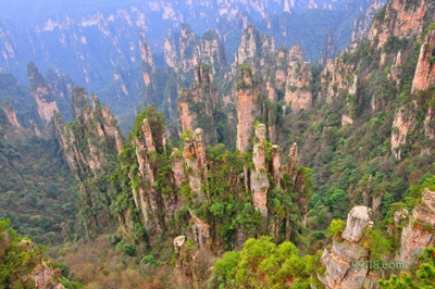 Каменный лес, горы Улинъюань