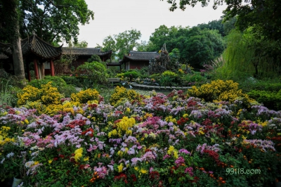 Парк хризантем, Фучжоу