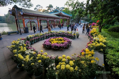 Парк хризантем, Фучжоу